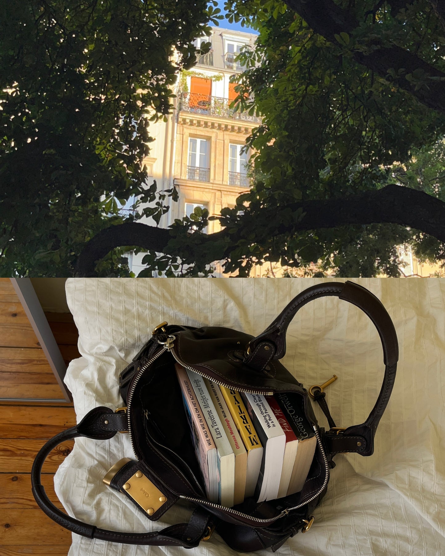 Chloé Paddington Dome bag