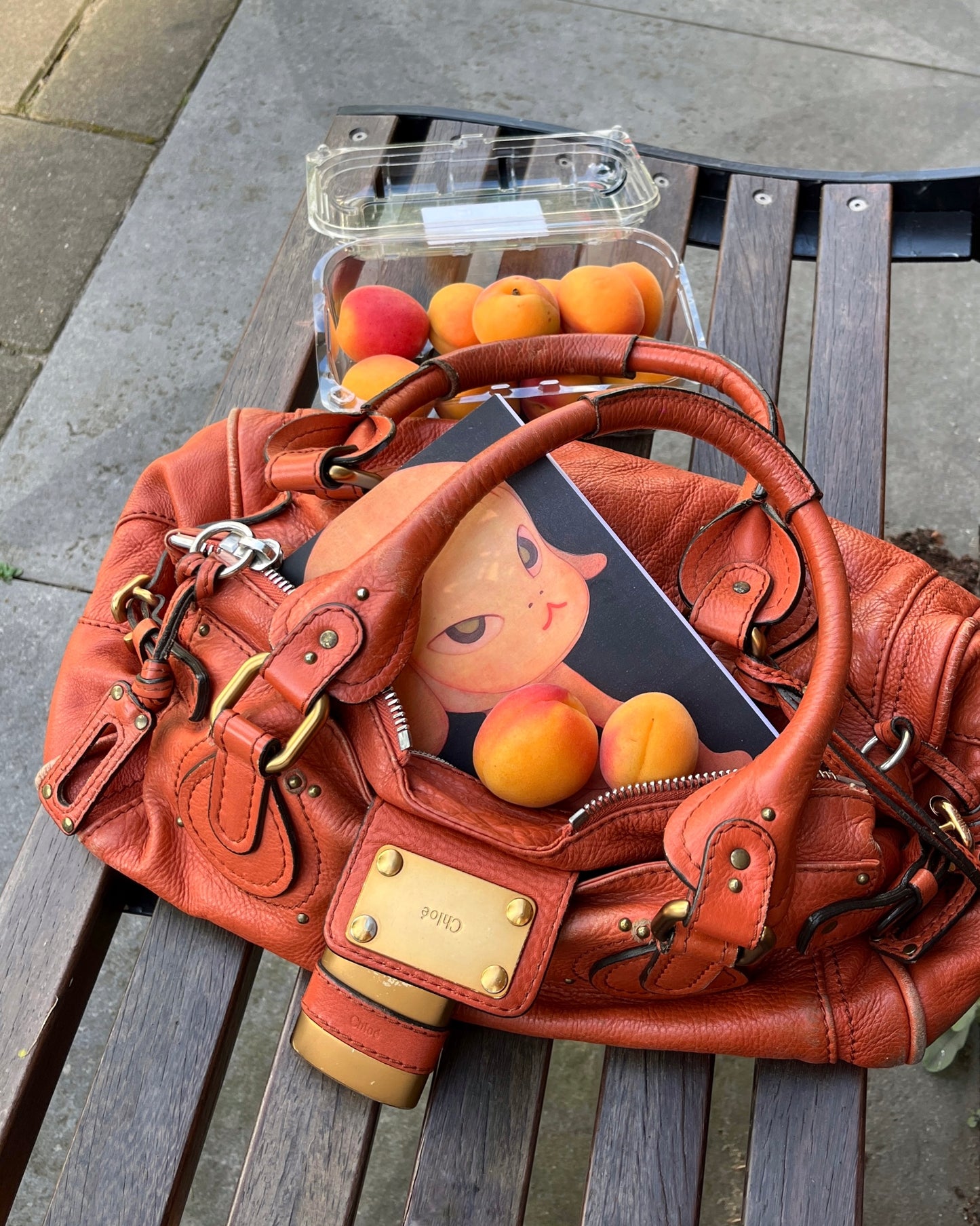 Chloé Paddington Bag in rusty orange